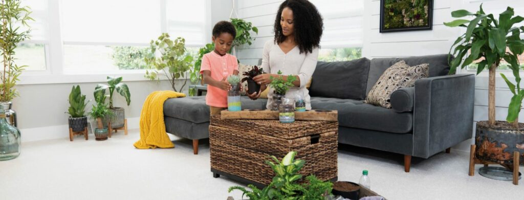 Carpet cleaning | The Floor Store