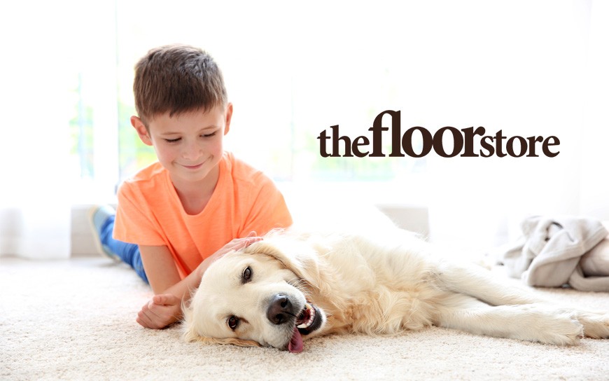 Pet perfect flooring | The Floor Store