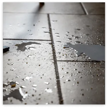 Tile | The Floor Store